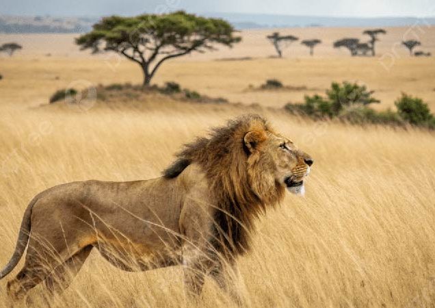 Kenya